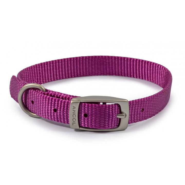 The Ancol Viva Buckle Dog Collar in Purple#Purple