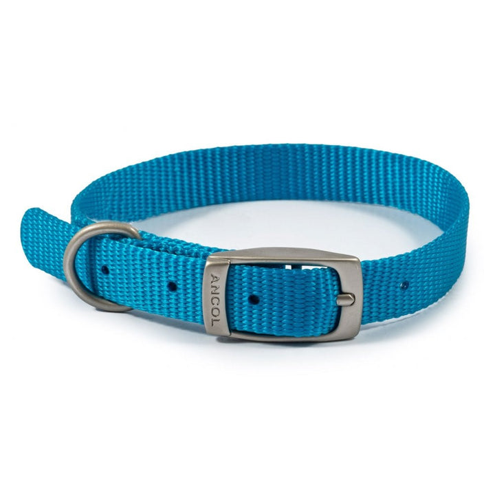 The Ancol Viva Buckle Dog Collar in Blue#Blue