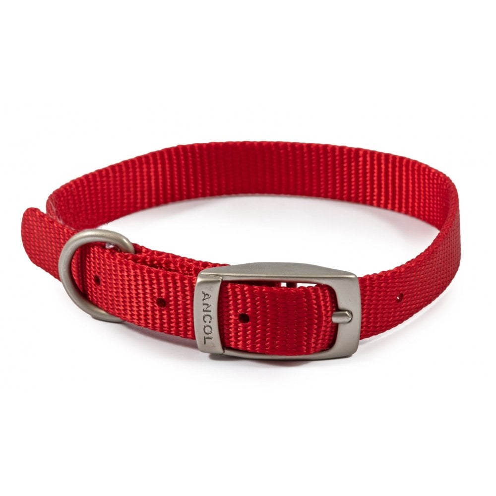 The Ancol Viva Buckle Dog Collar in Red#Red