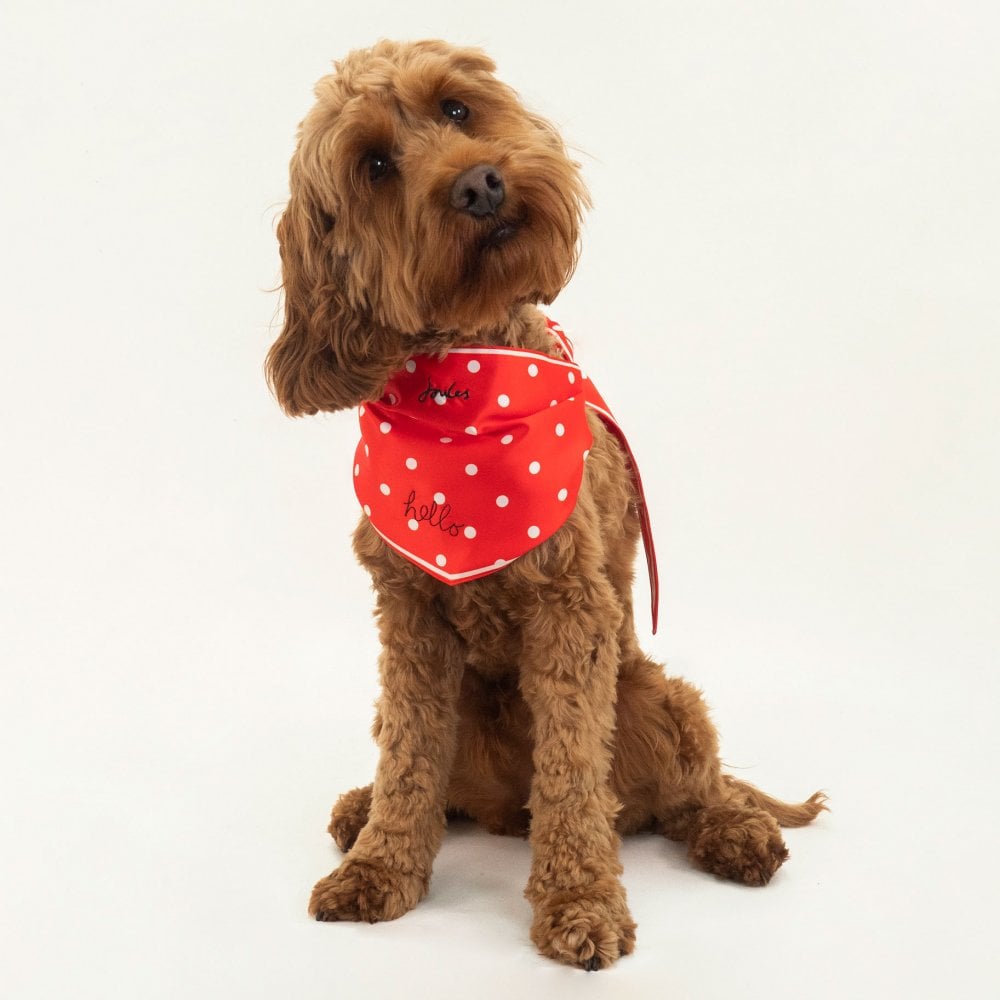 The Joules Neckerchief for Dogs in Red#Red