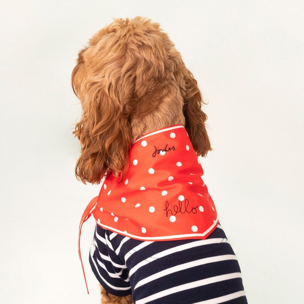 Joules Neckerchief for Dogs