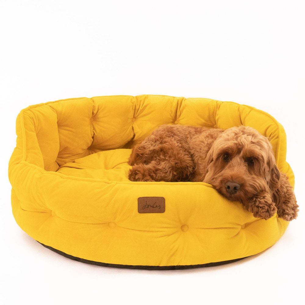 The Joules Velvet Chesterfield Dog Bed in Yellow