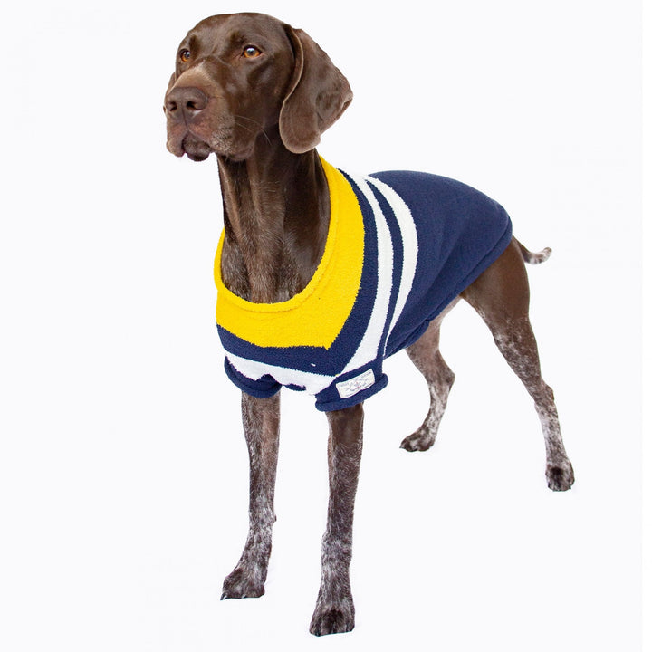 Joules Coastal Jumper for Dogs