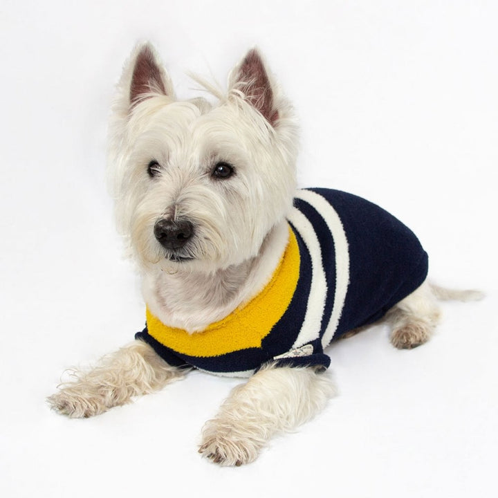 Joules Coastal Jumper for Dogs