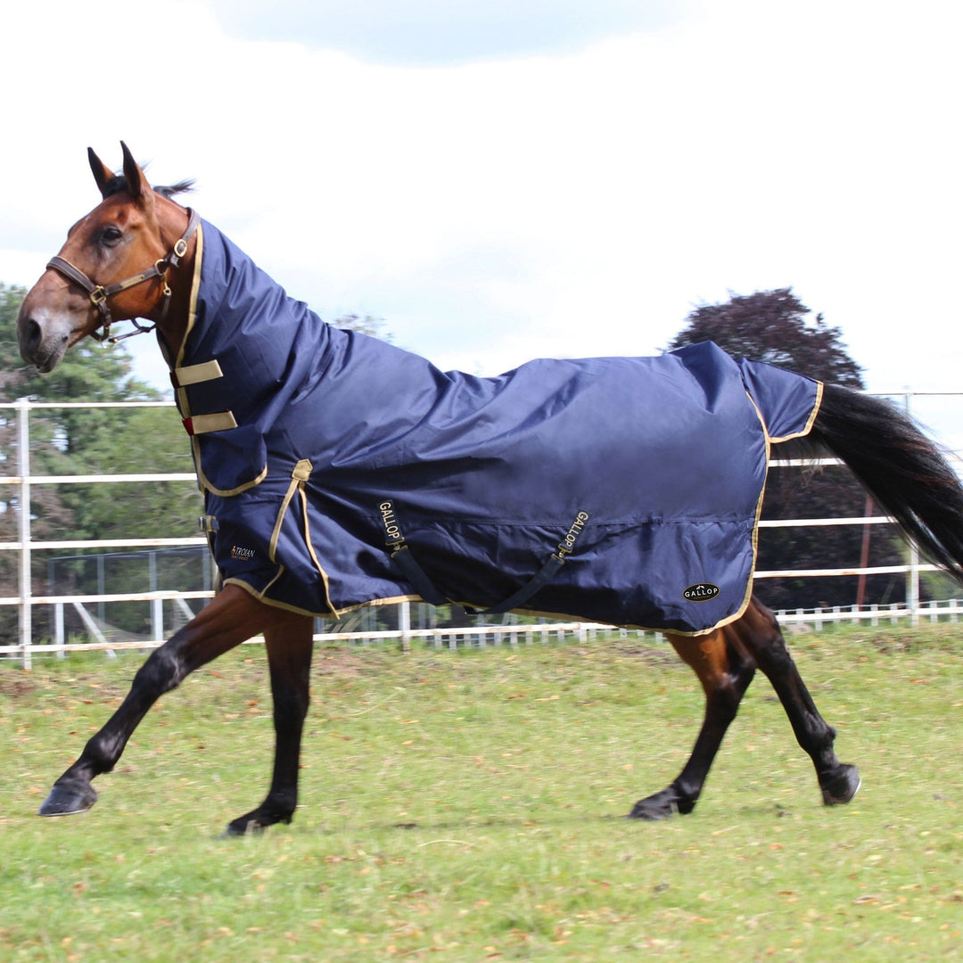 The Gallop Trojan Classic 100g Lightweight Combo Turnout in Navy#Navy