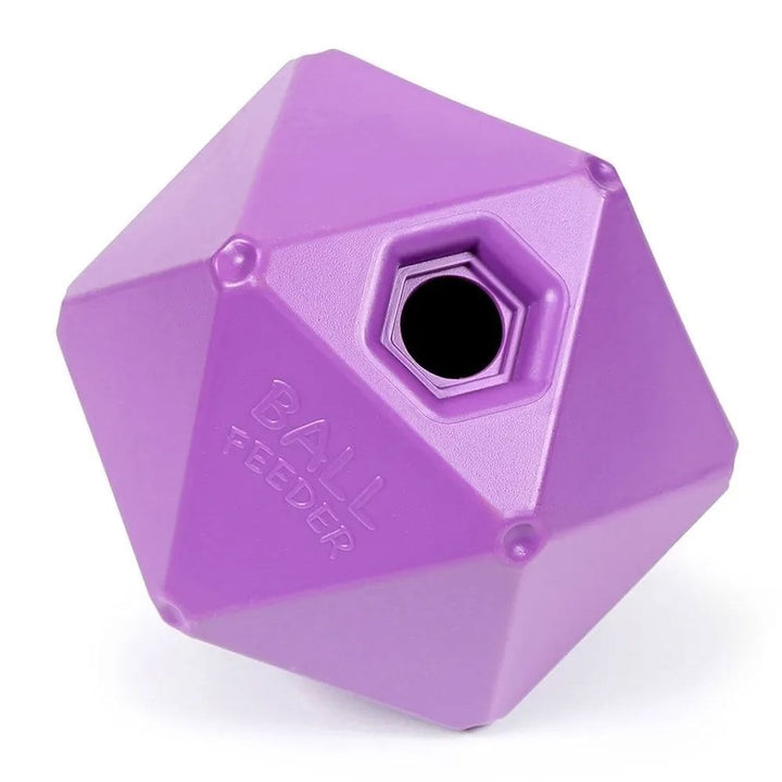 The Shires Ball Feeder in Purple#Purple