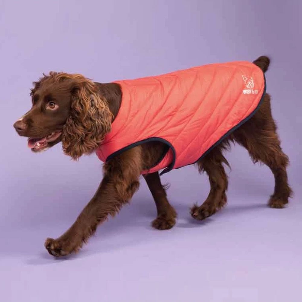 The Digby & Fox Padded Dog Coat in Pink#Pink