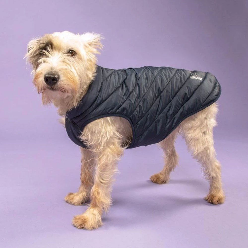 The Digby & Fox Padded Dog Coat in Navy#Navy