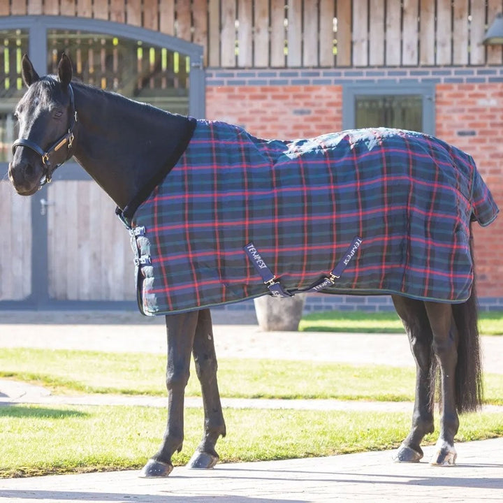 The Shires Tempest 100g Standard Stable Rug in Green#Green