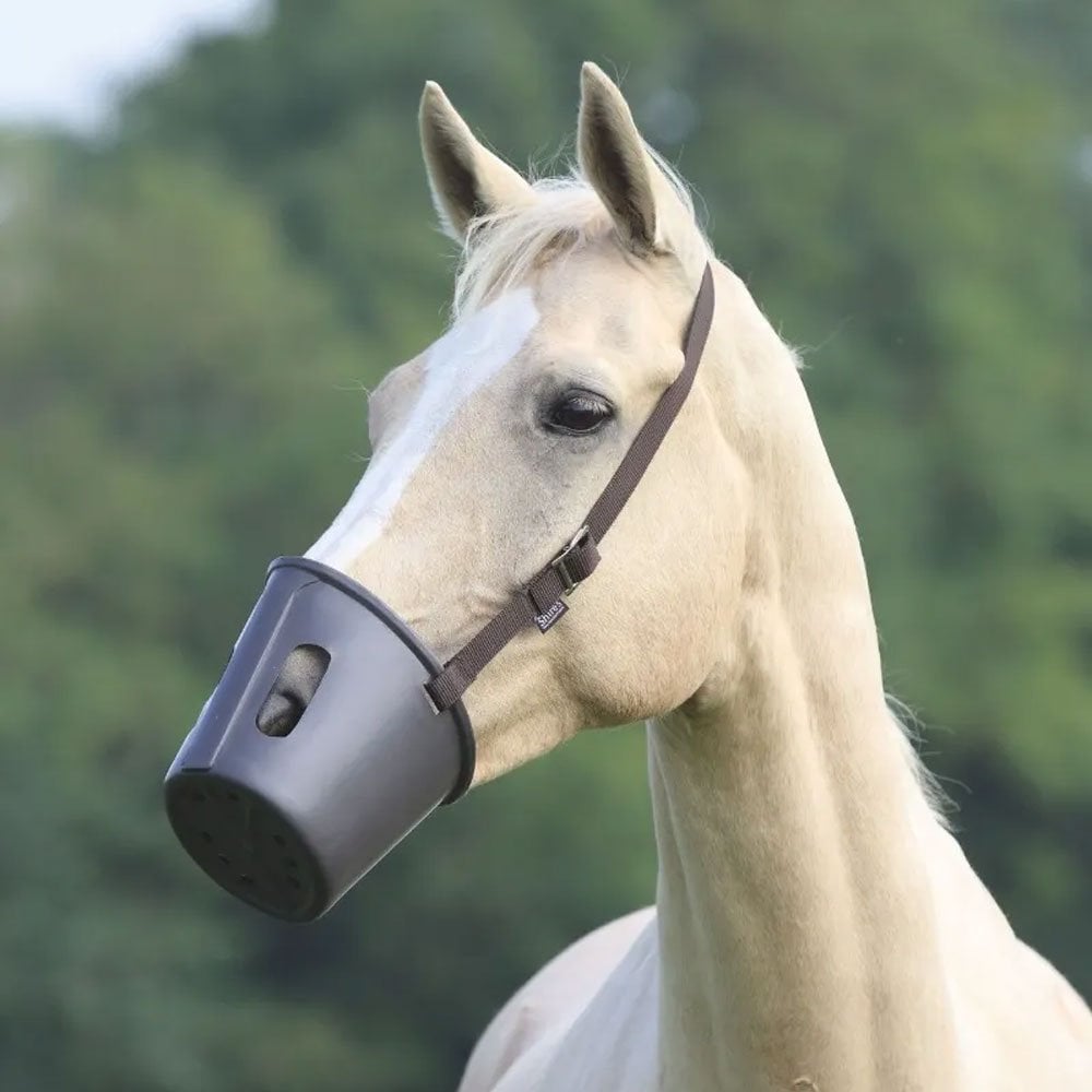The Shires Plastic Muzzle in Brown#Brown