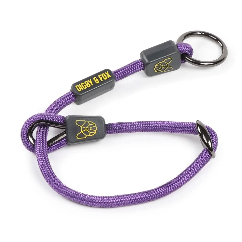 The Digby & Fox Rope Slip Dog Collar in Purple#Purple