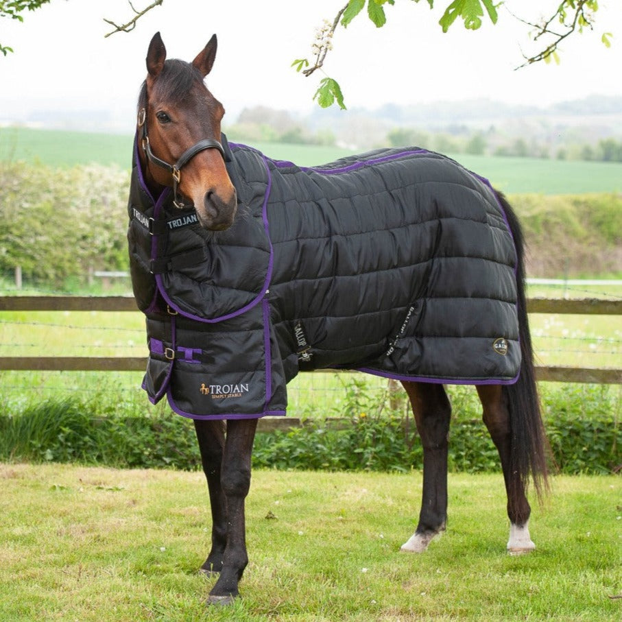 The Gallop Trojan Dual Set 200g Stable Rug with Neck Cover in Burgundy#Burgundy