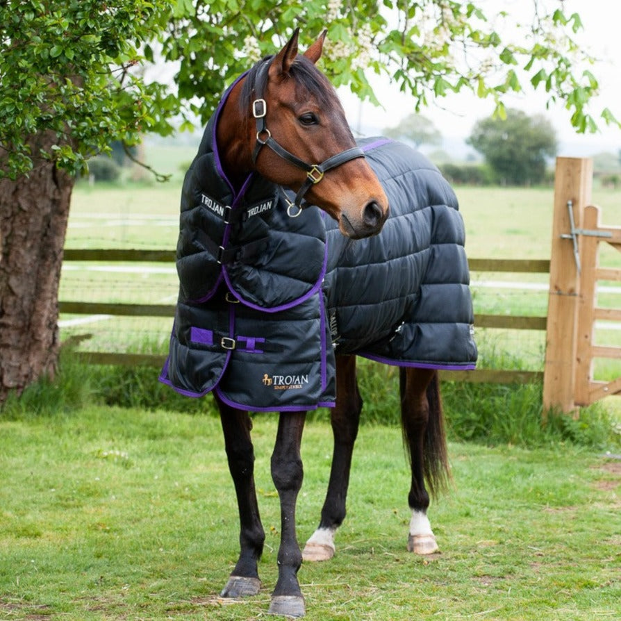 Gallop Trojan Dual Set 200g Stable Rug with Neck Cover