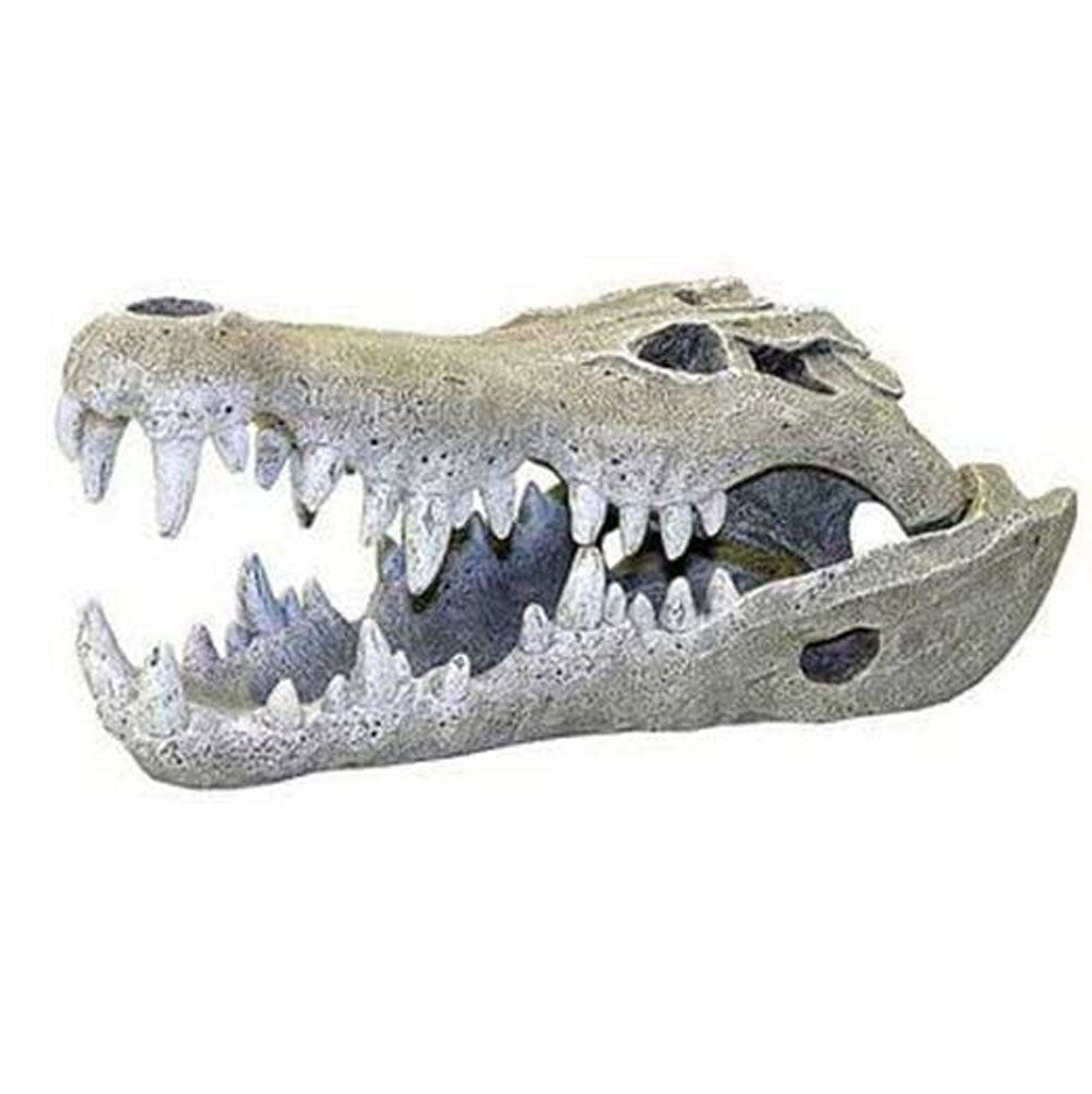 Rosewood Nile Crocodile Skull Ornament for Fish Tanks and Vivariums