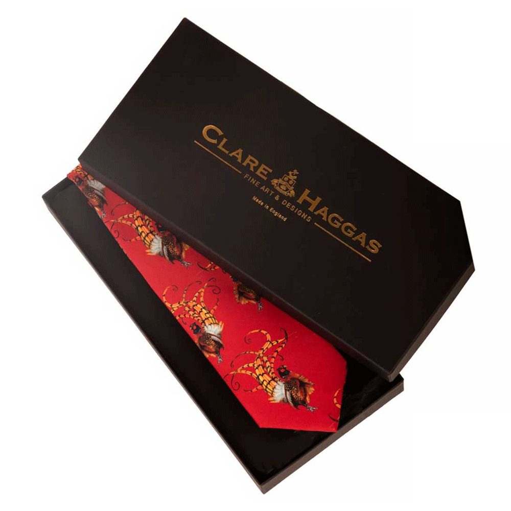 The Clare Haggas Mens Bruce Silk Tie in Red#Red
