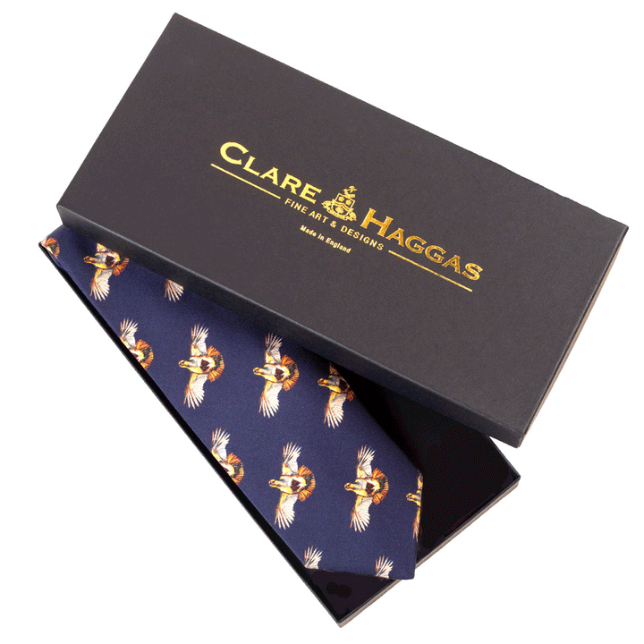 The Clare Haggas Highflyer Mens Silk Tie in Navy#Navy
