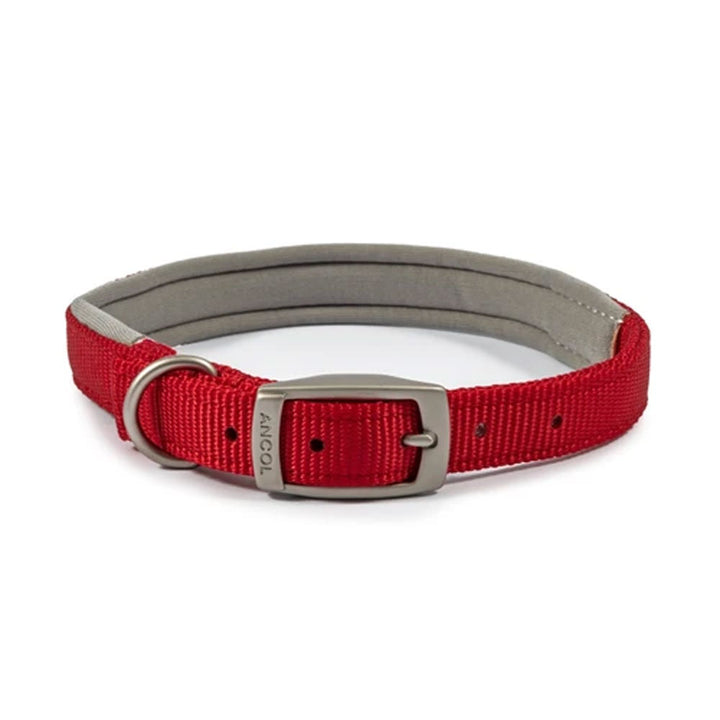The Ancol Viva Padded Buckle Dog Collar in Red#Red
