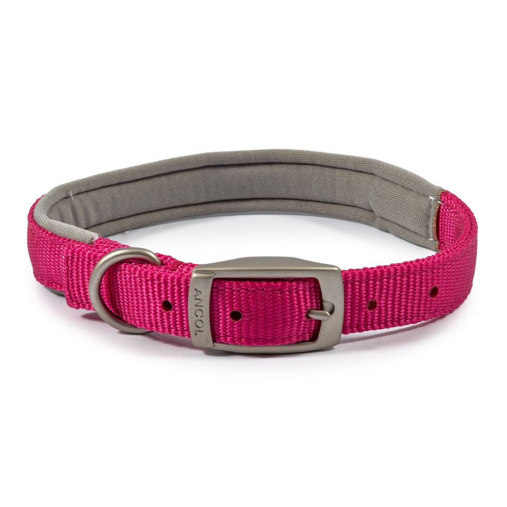 The Ancol Viva Padded Buckle Dog Collar in Pink#Pink