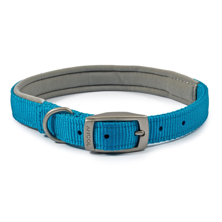 The Ancol Viva Padded Buckle Dog Collar in Blue#Blue