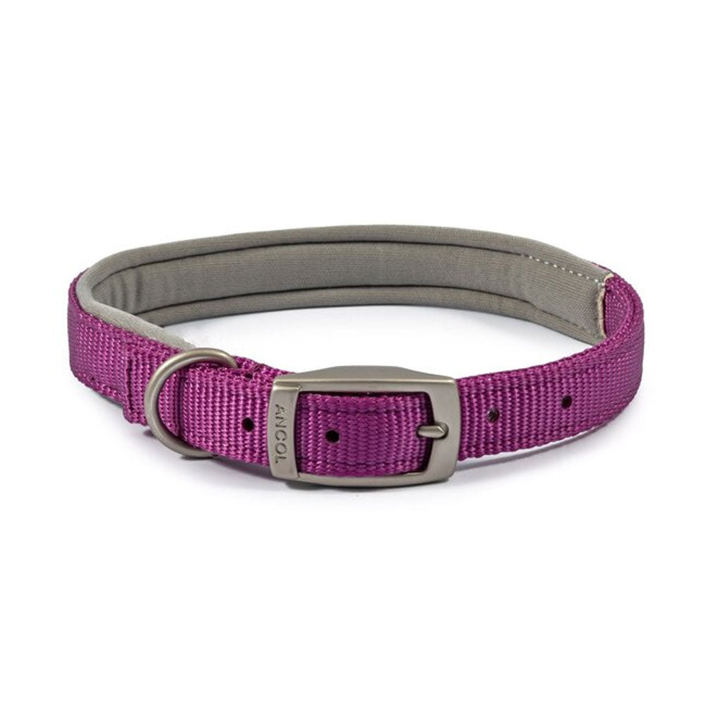The Ancol Viva Padded Buckle Dog Collar in Purple#Purple