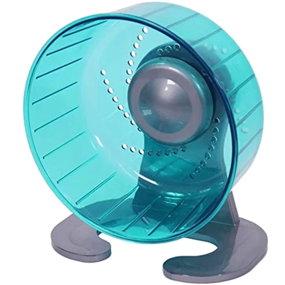 The Pico Exercise Wheel in Turquoise#Turquoise