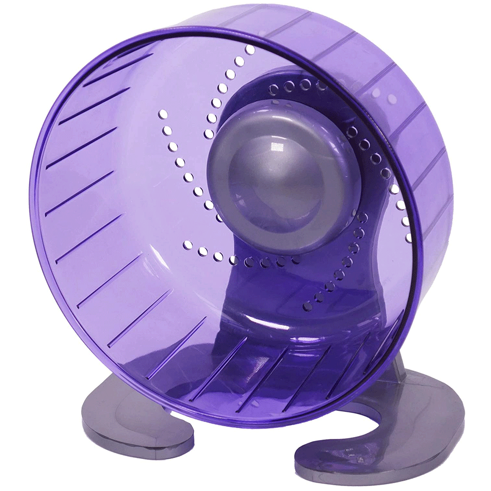 The Pico Exercise Wheel in Purple#Purple