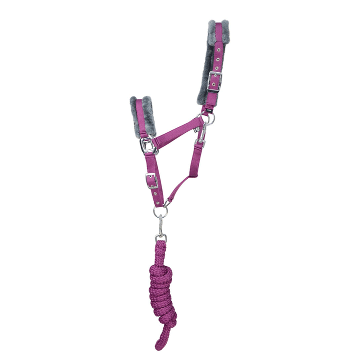 The Hy Sport Active Headcollar & Leadrope in Purple#Purple