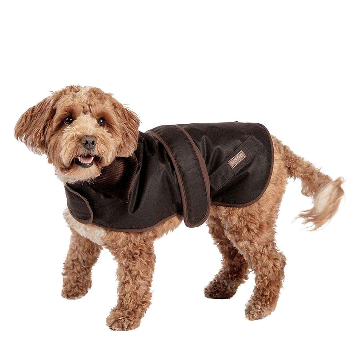 The FatFace Sussex Wax Dog Coat in Chocolate#Chocolate
