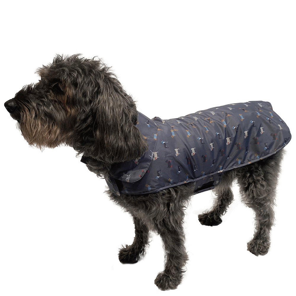 FatFace Marching Dogs Raincoat