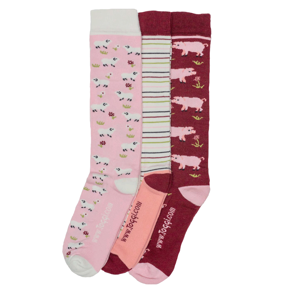 The Toggi Ladies Pig & Sheep 3 Pack Socks in Burgundy#Burgundy