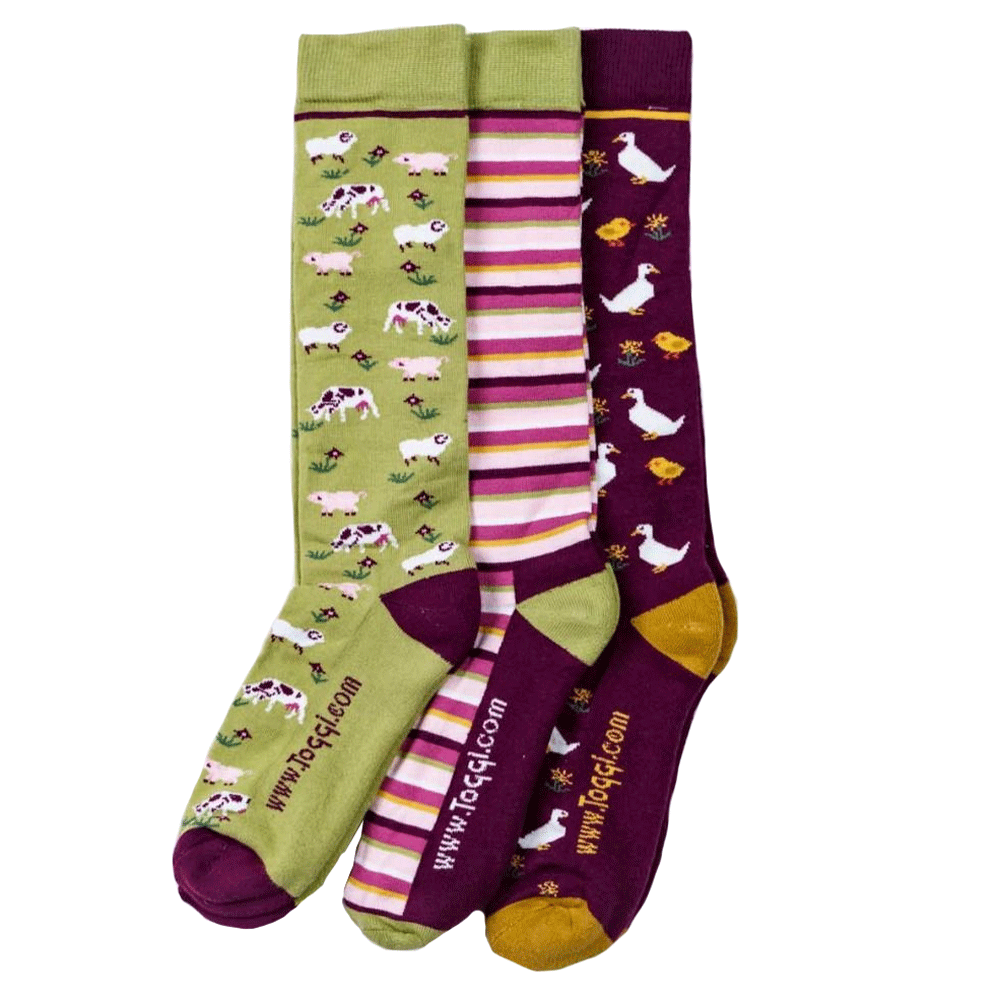The Toggi Ladies Farm 3 Pack Socks in Purple#Purple