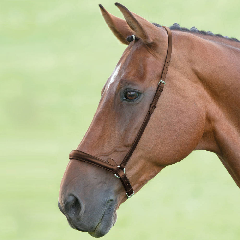 Shires Blenheim Drop Noseband in Brown#Brown