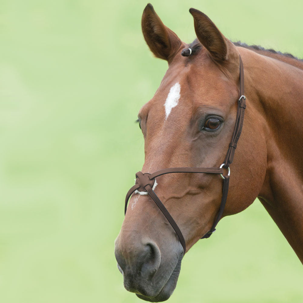 The Shires Blenheim Grackle Noseband in Brown#Brown