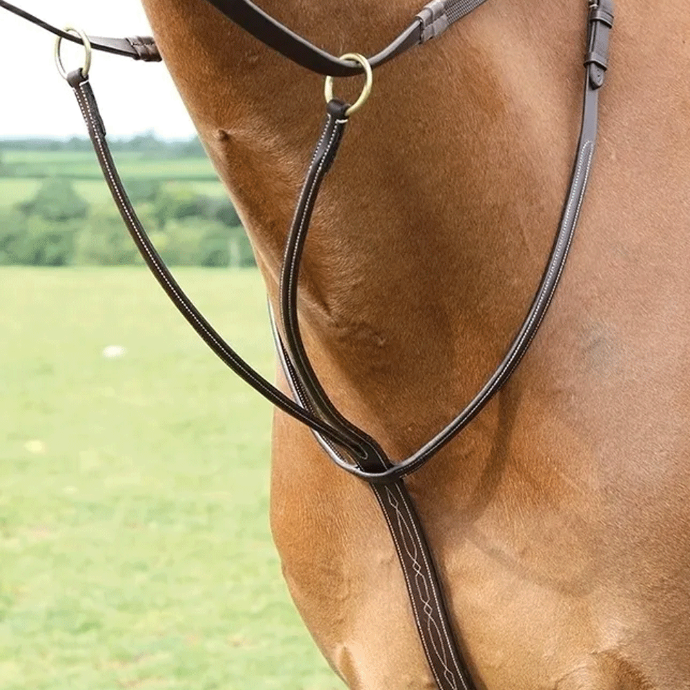 The Shires Salisbury Running Martingale in Brown#Brown