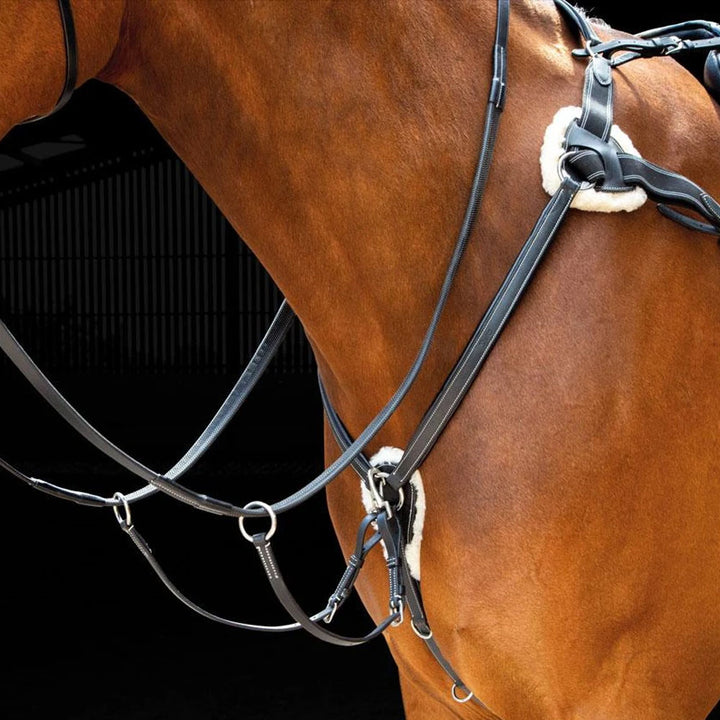 The Shires Five Point Breastplate in Black#Black