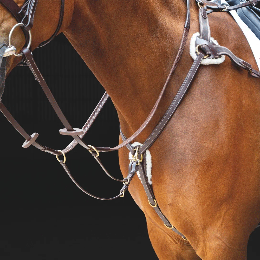 The Shires Salisbury Five Point Breastplate in Brown#Brown