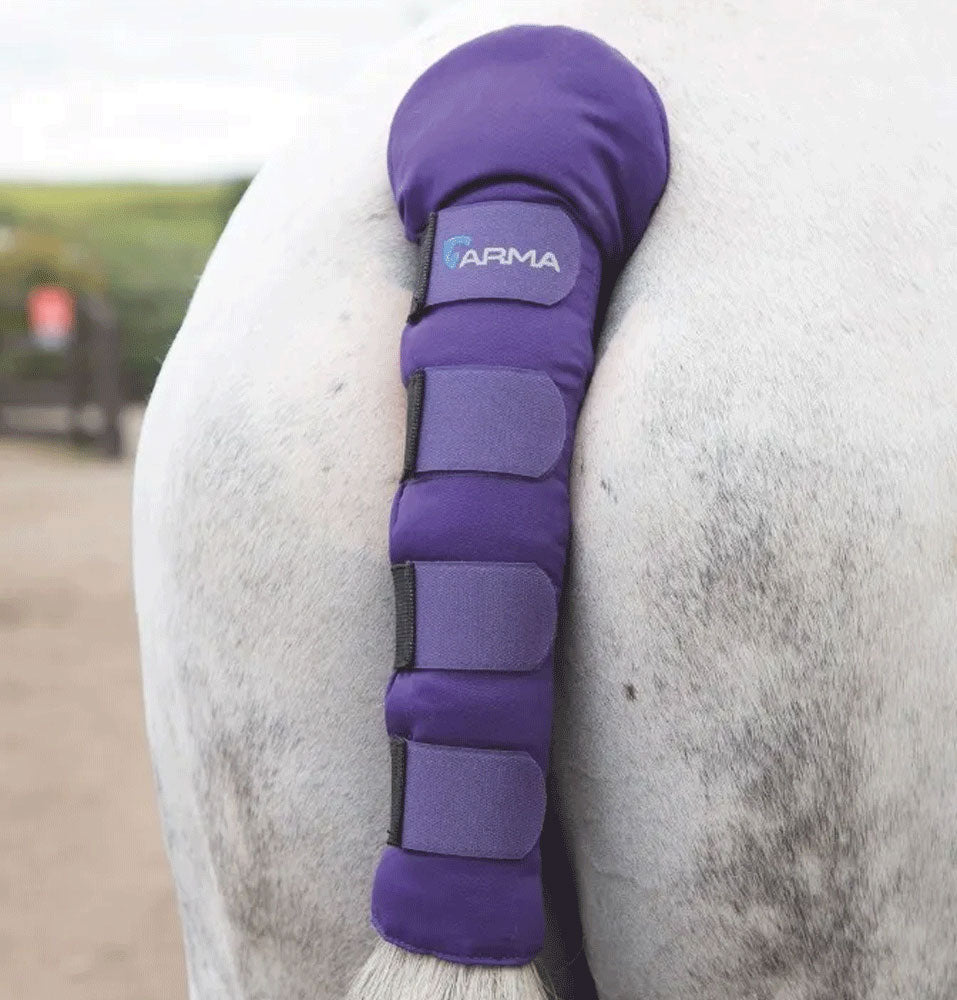 The Shires Arma Padded Tail Guard in Purple#Purple