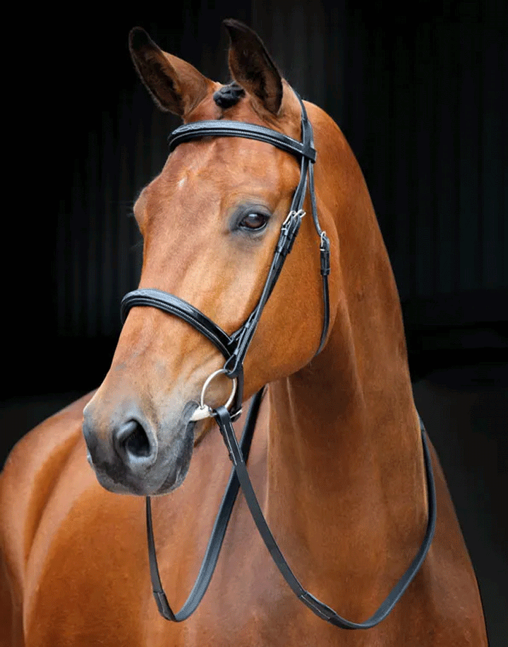 The Shires Salisbury Fairford Bridle in Black#Black