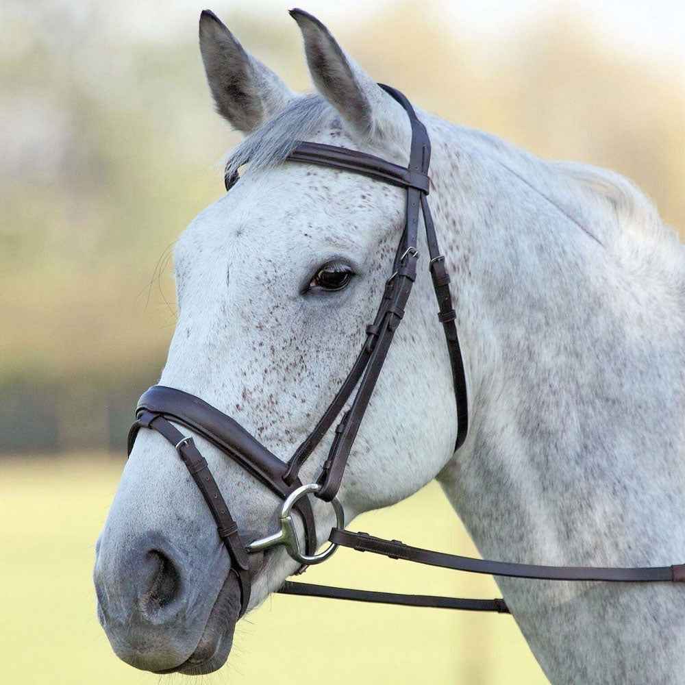 The Shires Aviemore Comfort Fit Bridle with Flash Noseband in Brown#Brown