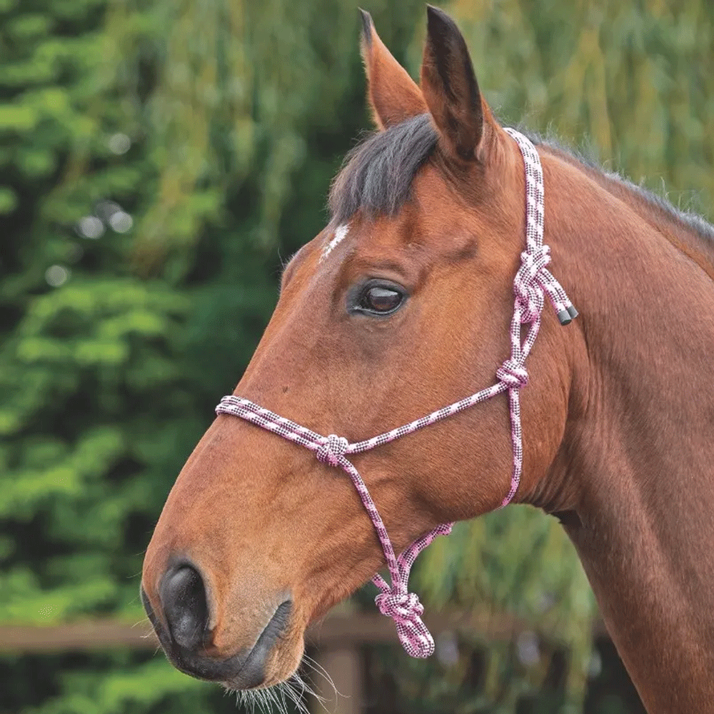 The Shires Rope Control Headcollar in Pink#Pink