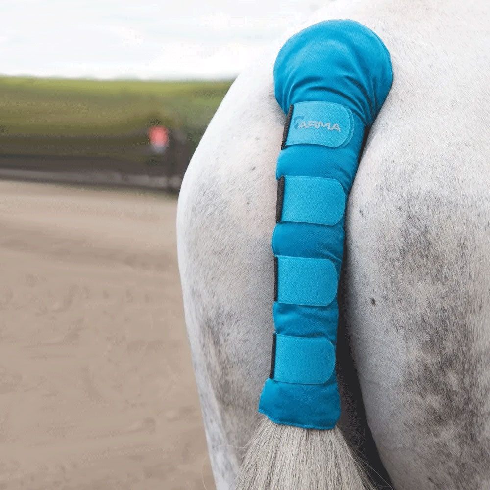 The Shires Arma Padded Tail Guard in Blue#Blue