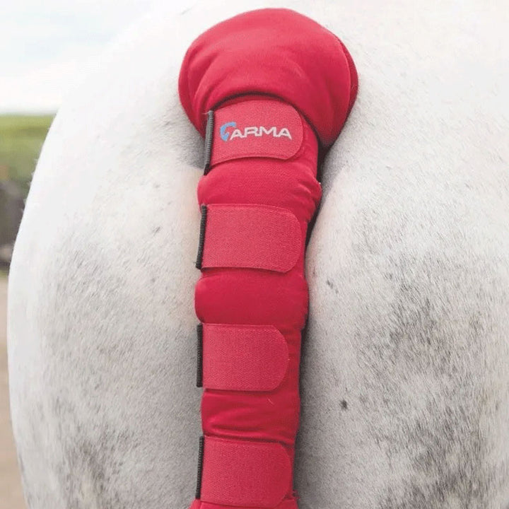 The Shires Arma Padded Tail Guard in Red#Red