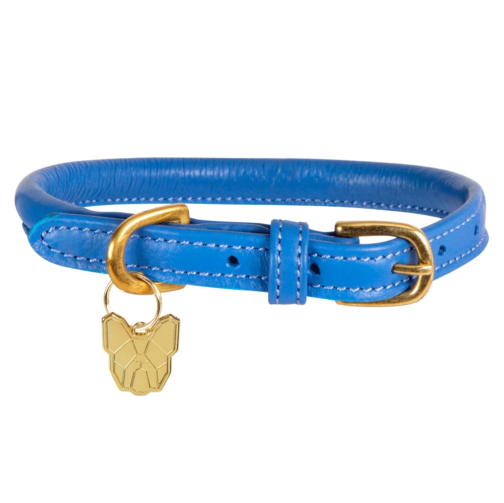 The Digby & Fox Rolled Leather Dog Collar in Blue#Blue