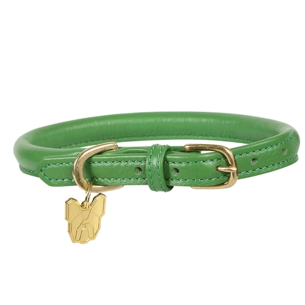 The Digby & Fox Rolled Leather Dog Collar in Green#Green