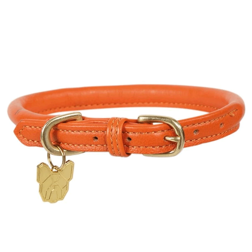 The Digby & Fox Rolled Leather Dog Collar in Orange#Orange