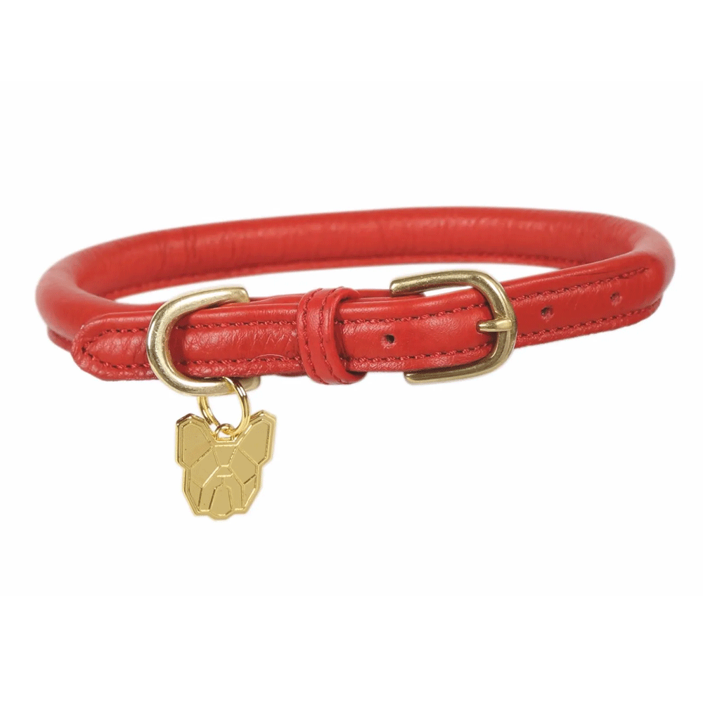 The Digby & Fox Rolled Leather Dog Collar in Red#Red