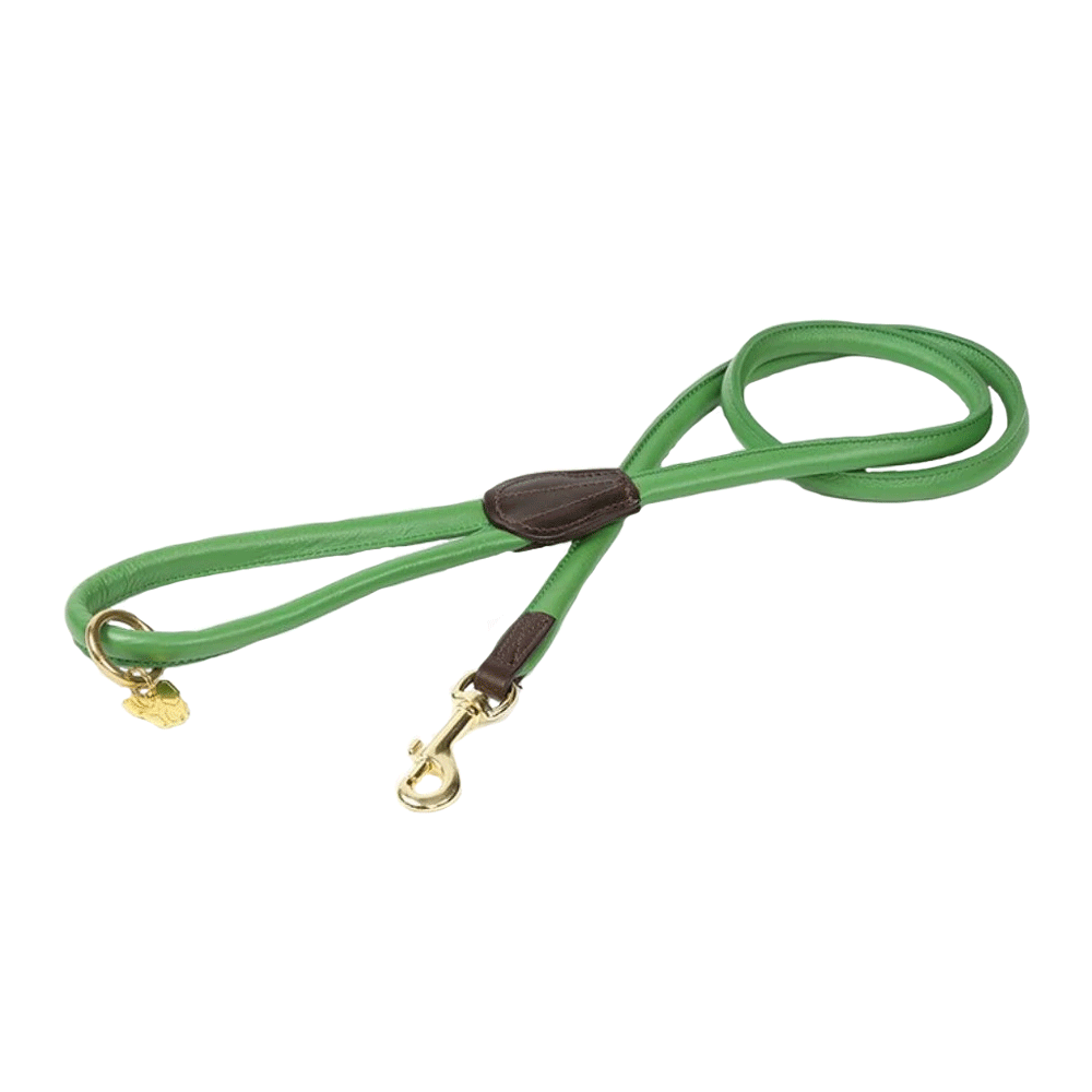 The Digby & Fox Rolled Leather Dog Lead in Green#Green
