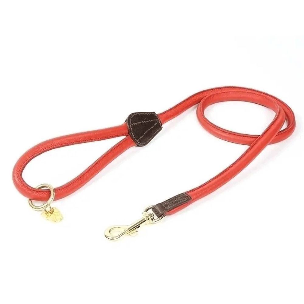 The Digby & Fox Rolled Leather Dog Lead in Red#Red