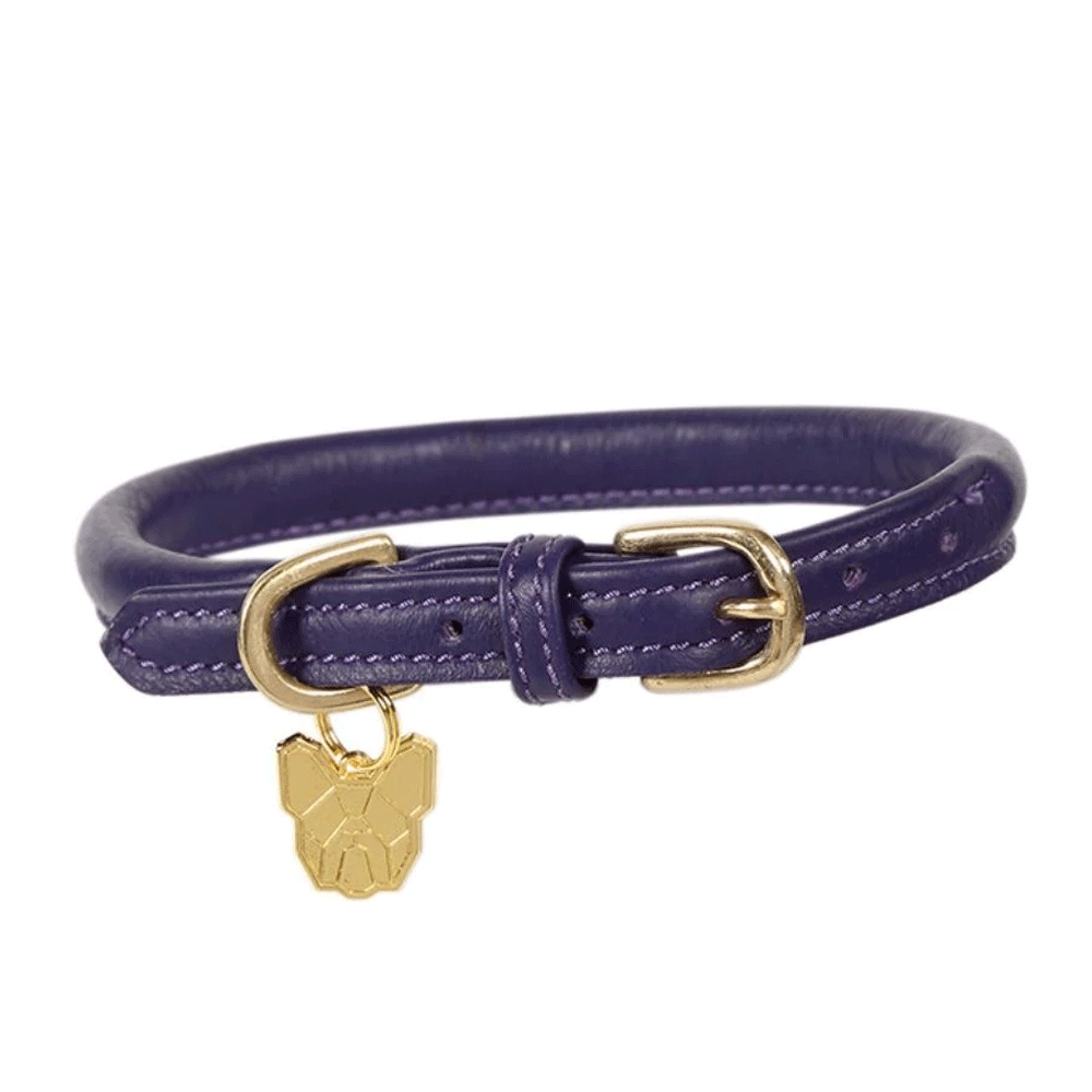 The Digby & Fox Rolled Leather Dog Collar in Purple#Purple