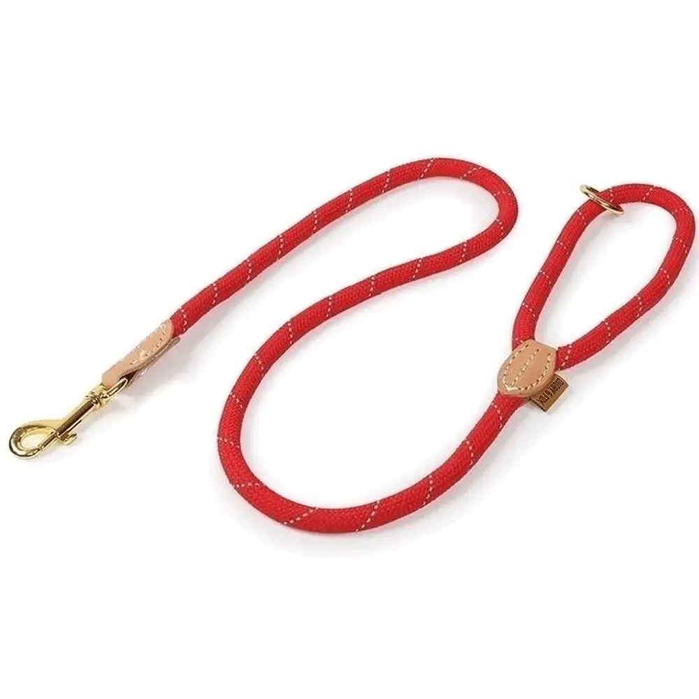 Digby & Fox Reflective Dog Lead in Red#Red